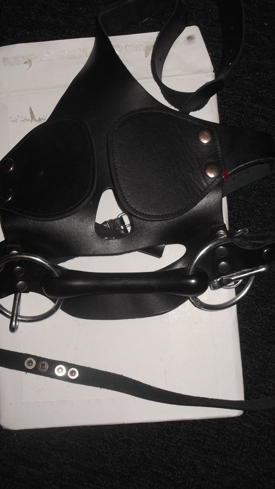 mask with bit gag (1)