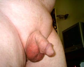 my cock starting to get hard