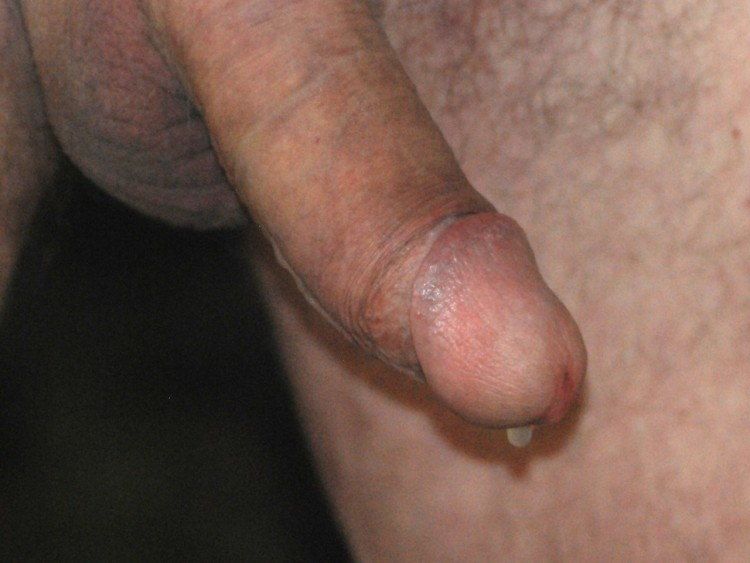 MY COCK waiting for you