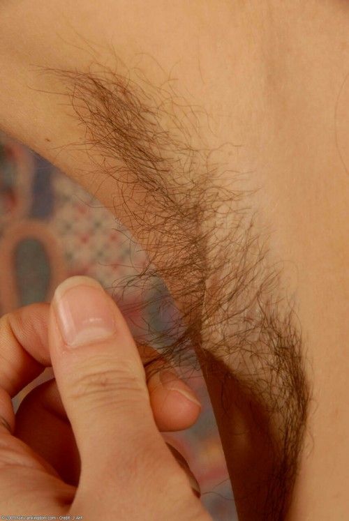 Hairy Armpits