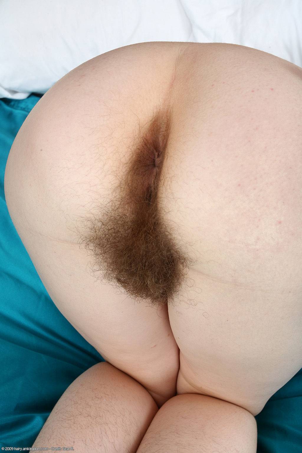 Hairy Butt 1