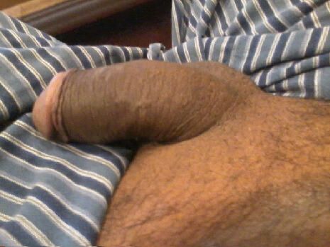 cock laying