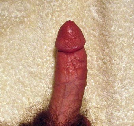 My cock