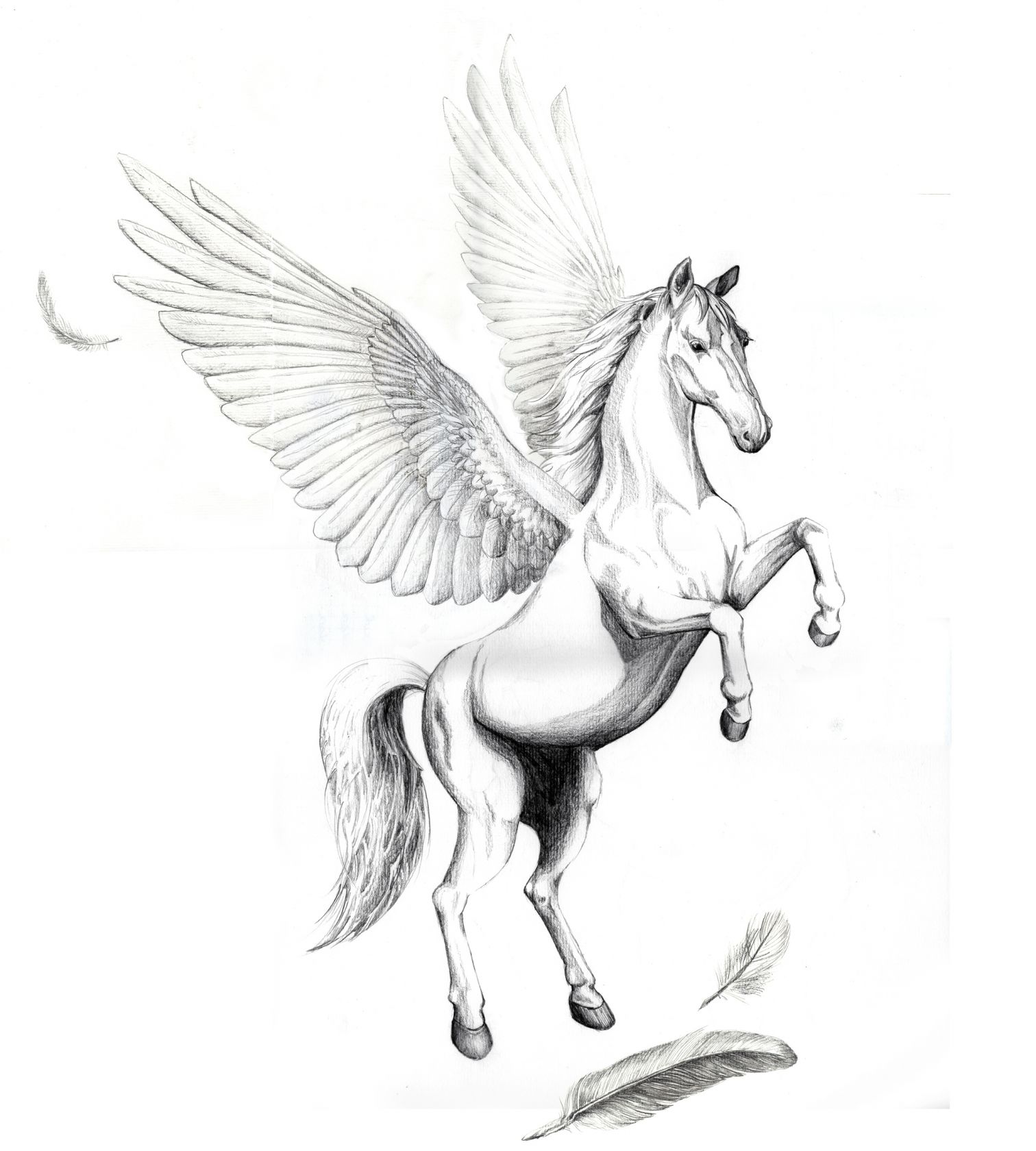 pegasus_gespiegelt