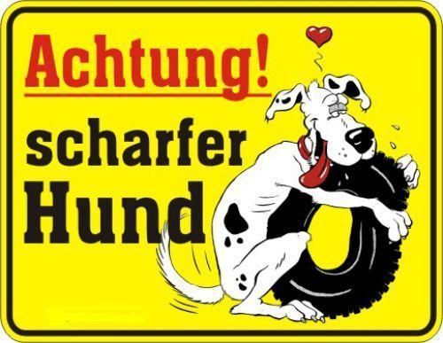 scharfer hund