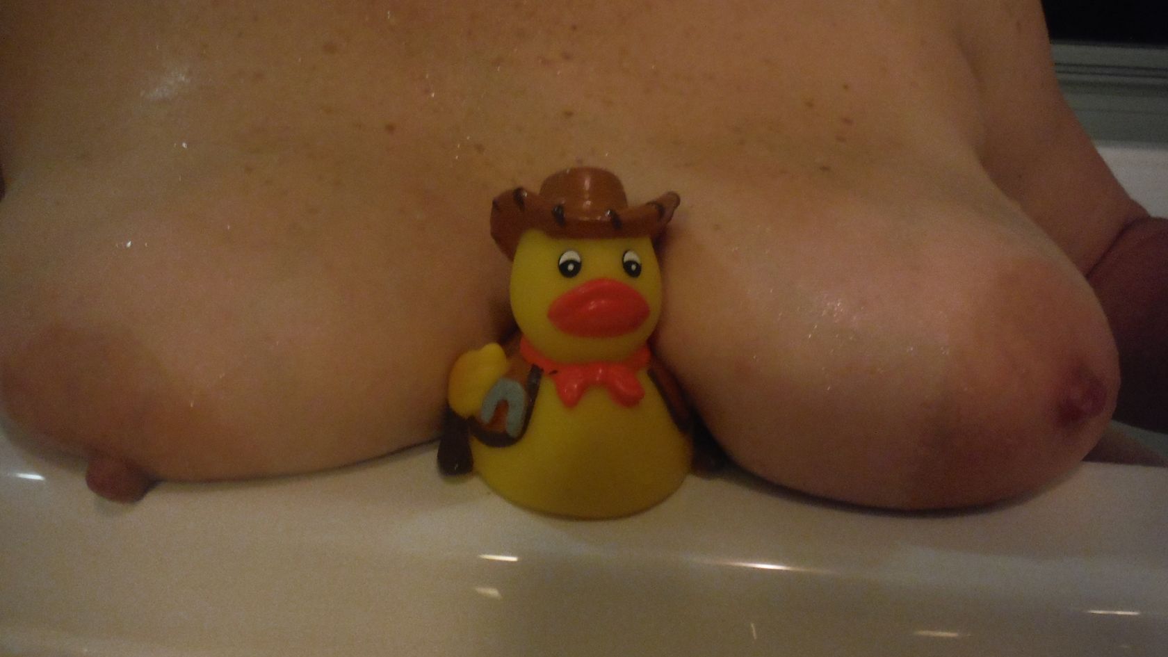 Tits Duck 1