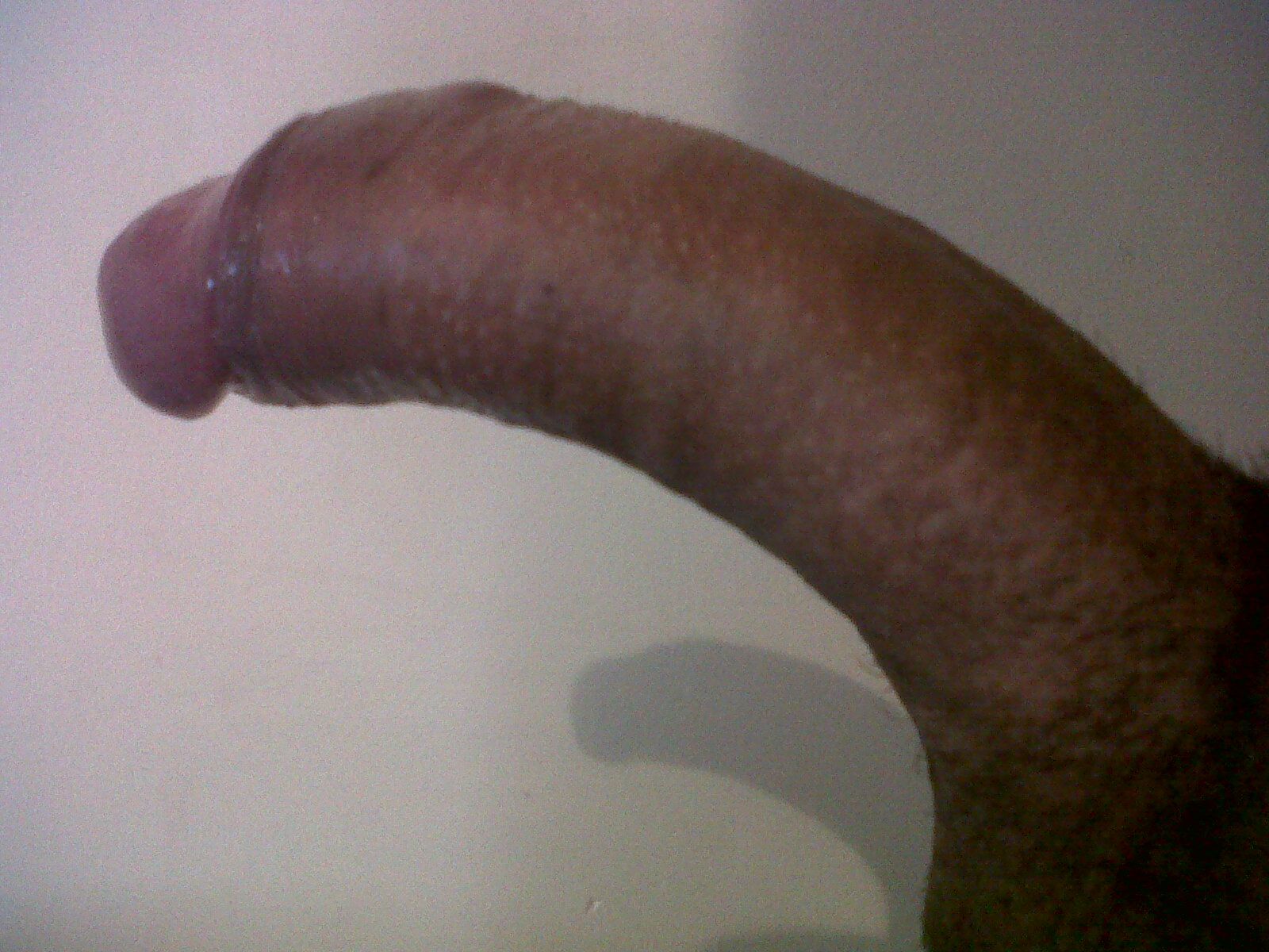 curved cock 2