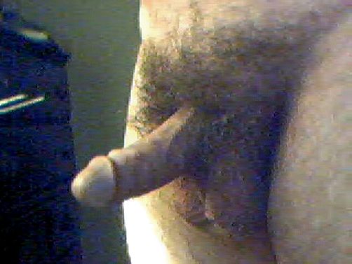 cock_2