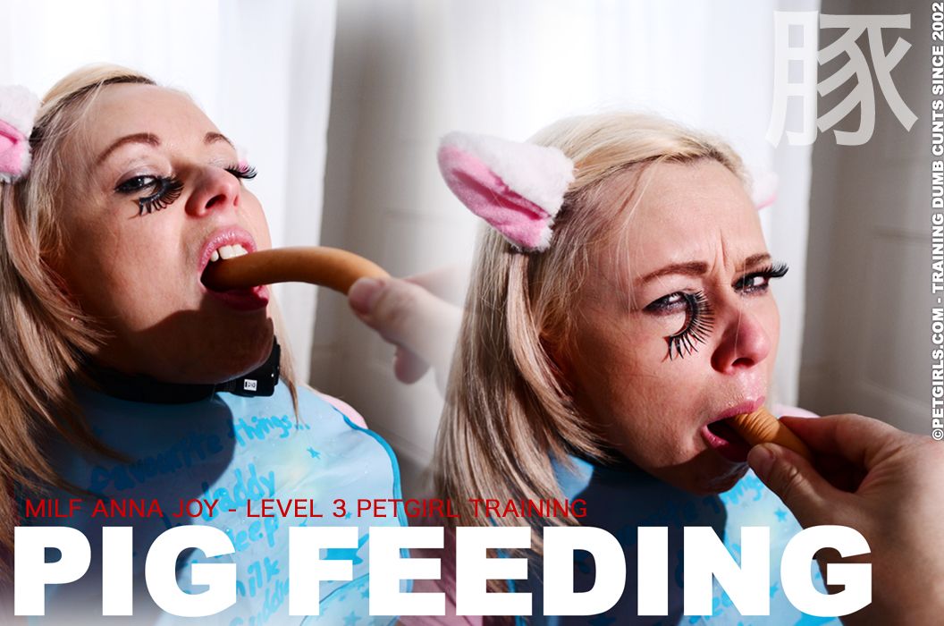 pig feeding