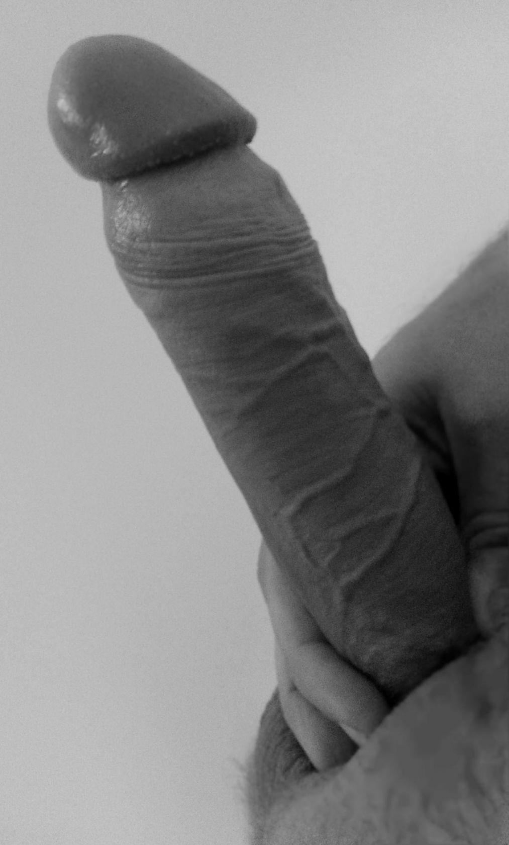Black and White Cock