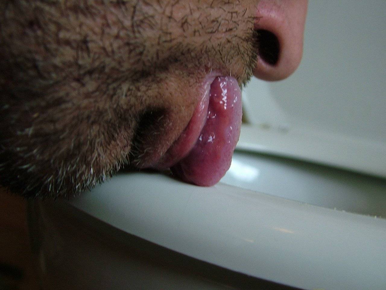 Licking Her Toilet Bowl