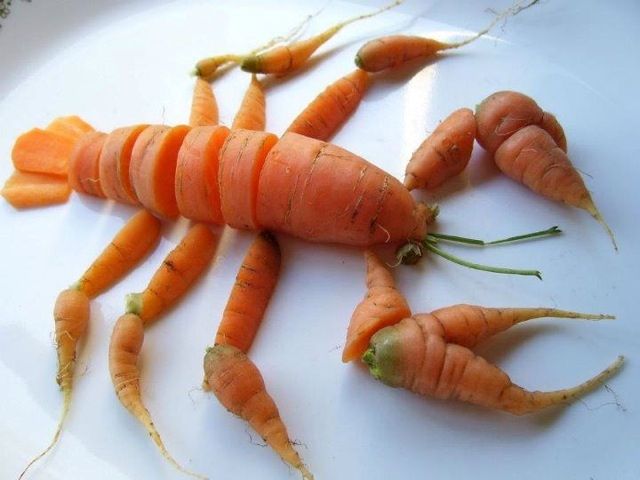 Langouste