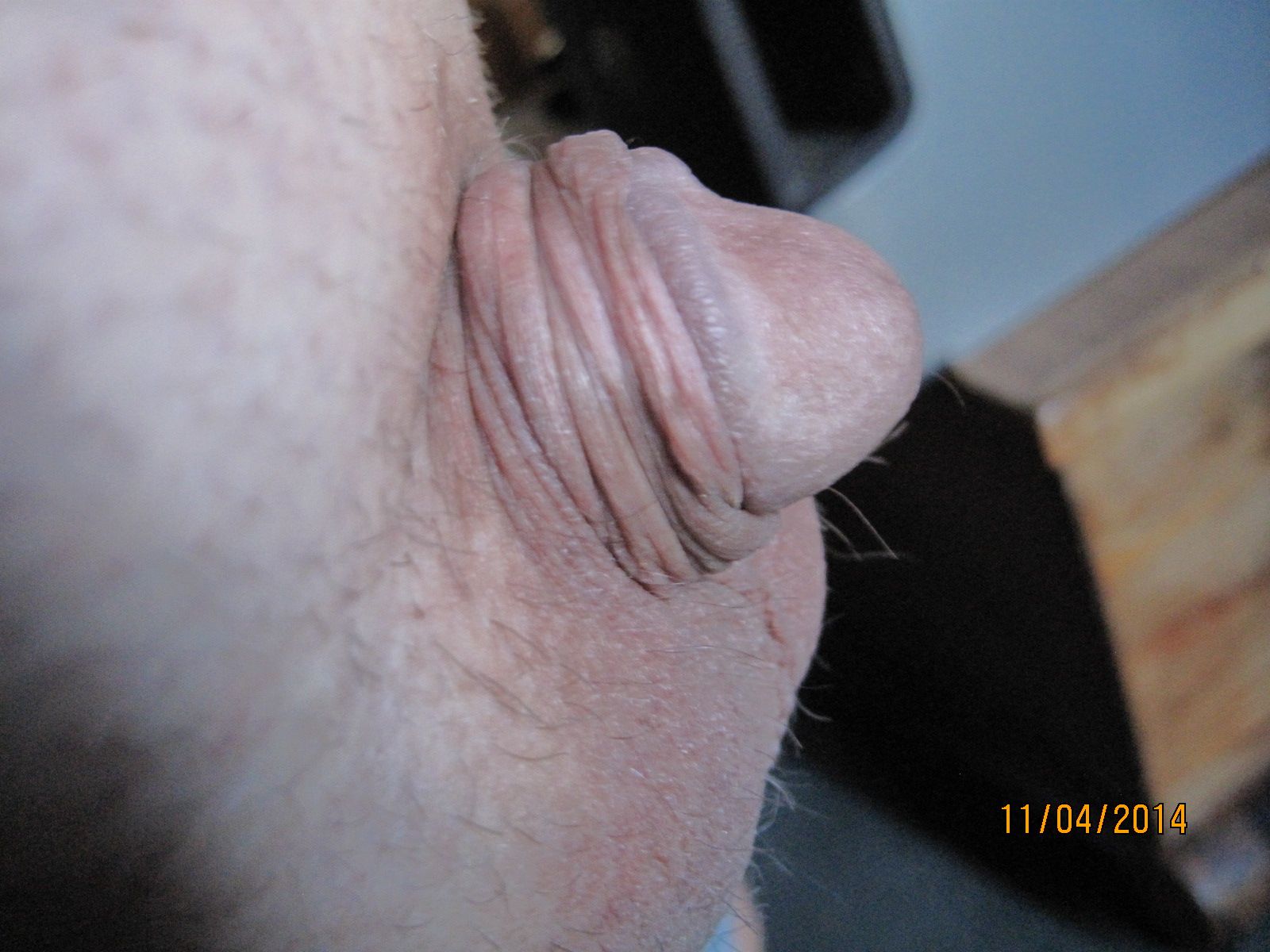 My Little Cock 087