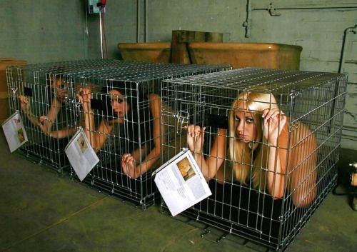 slaves in cages