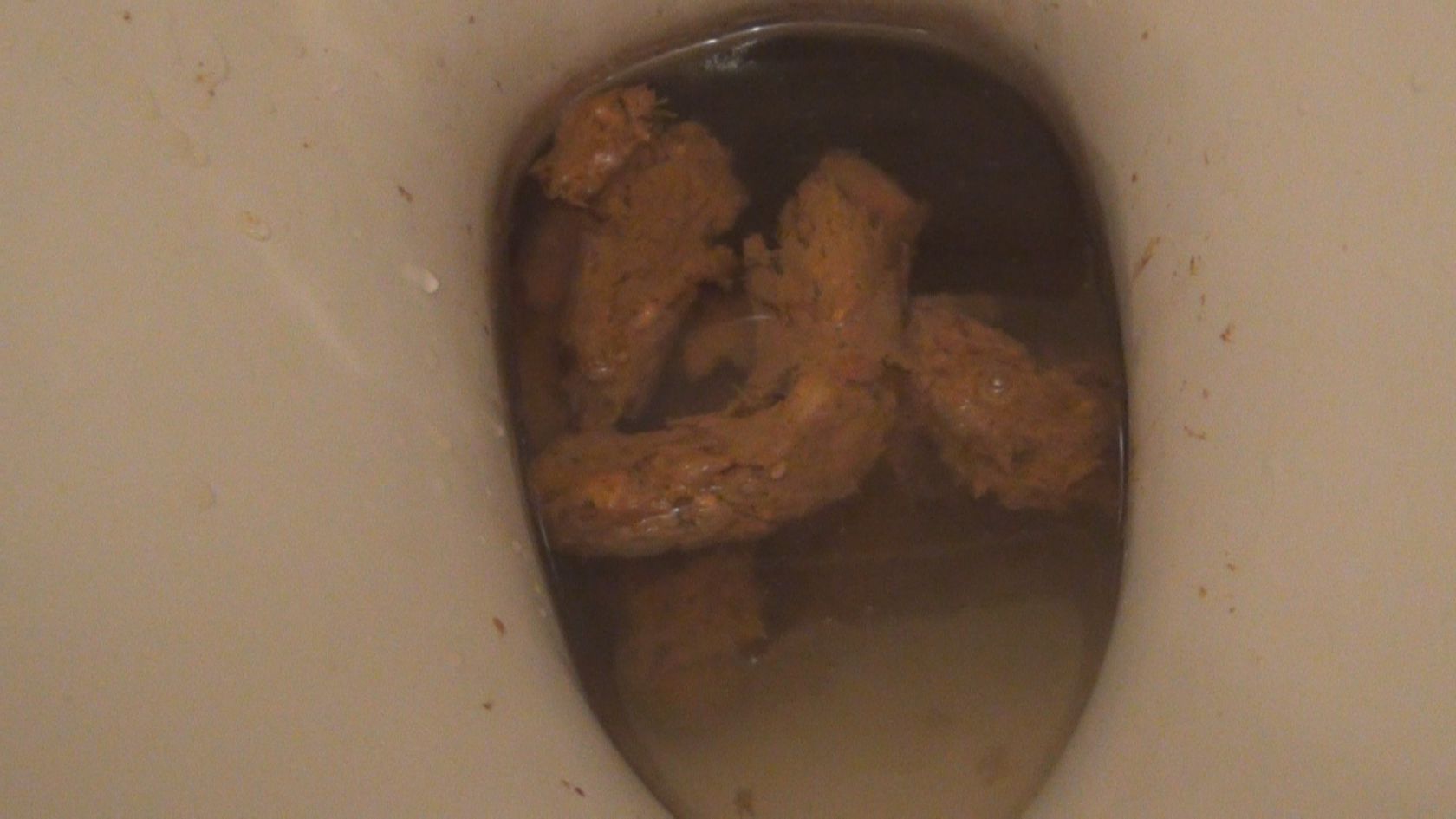 pooping 8/05/2015