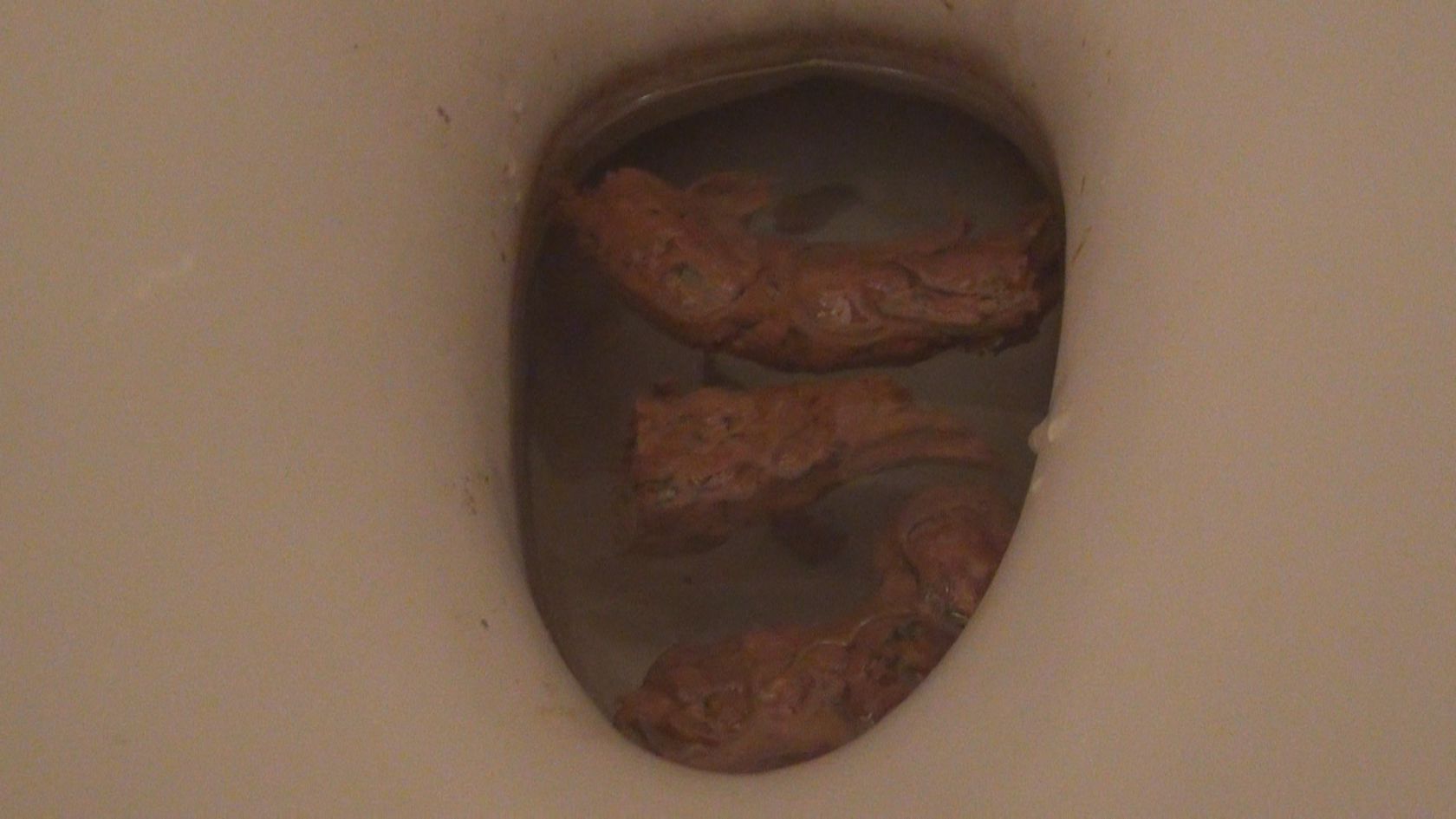 pooping 8/06/2015