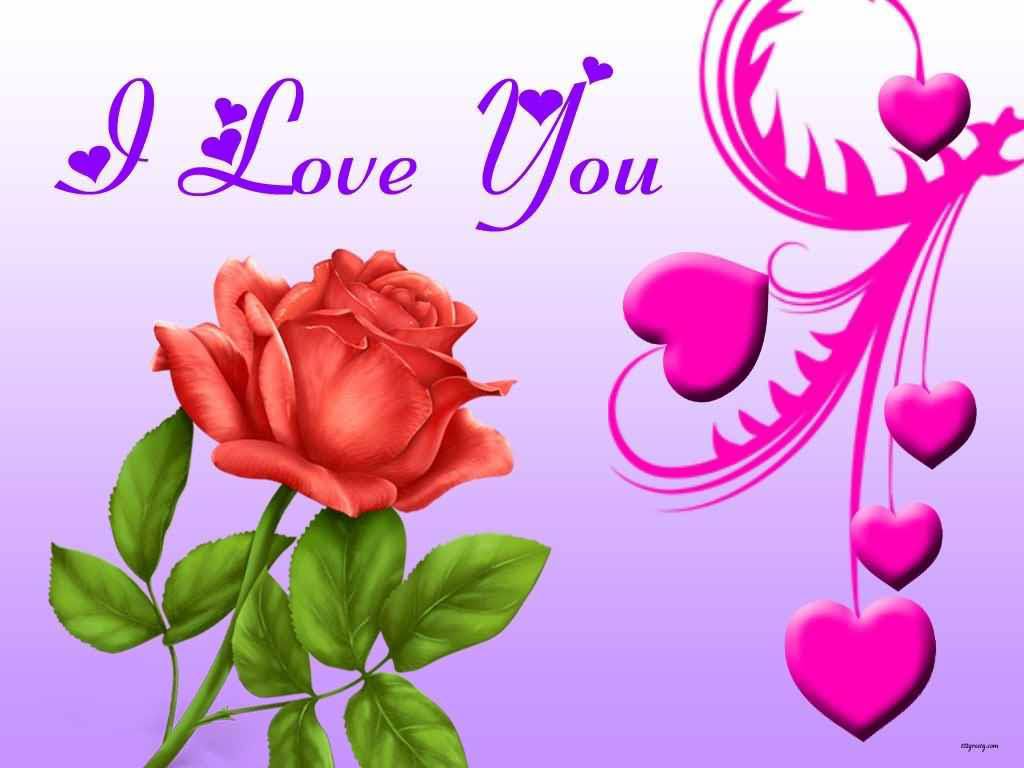 I-Love-You-Beautiful-Rose-Lovely-Hearts-Wallpaper
