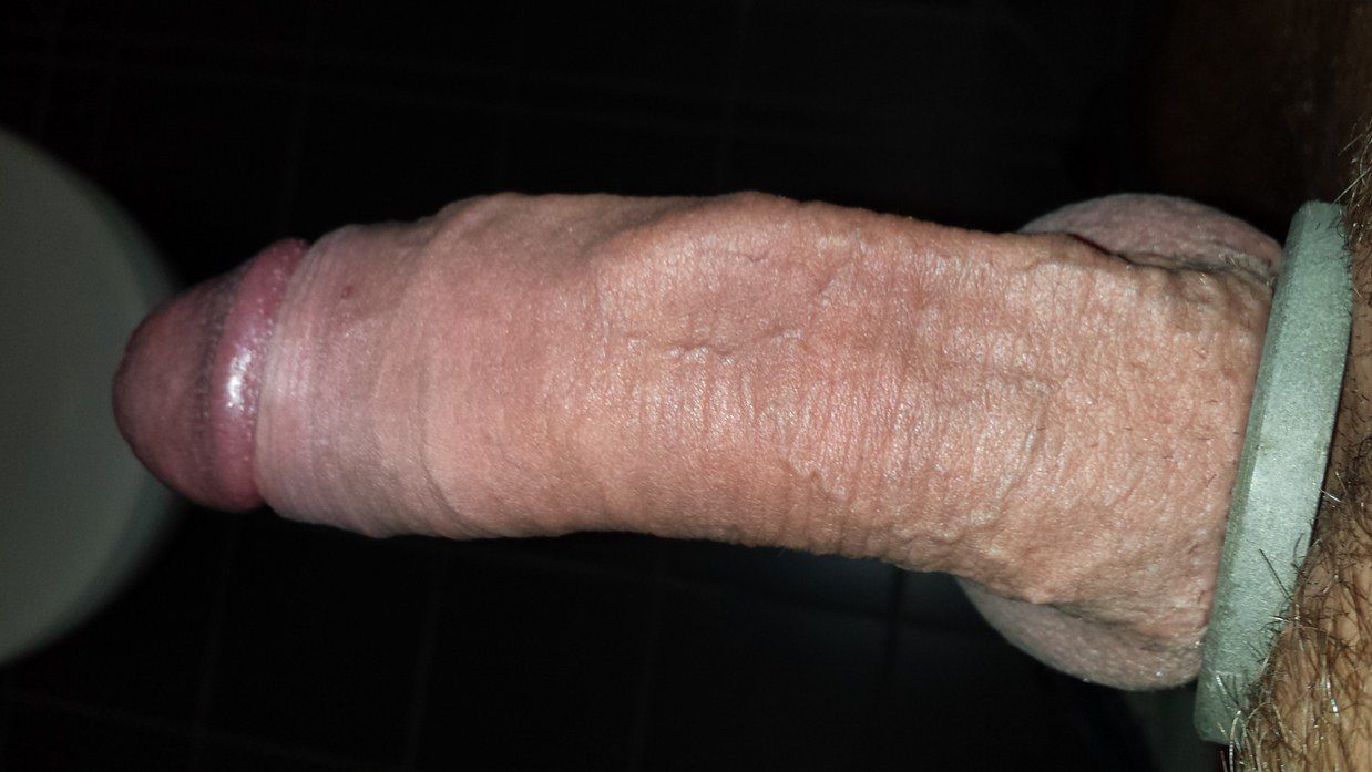 Cock (10)
