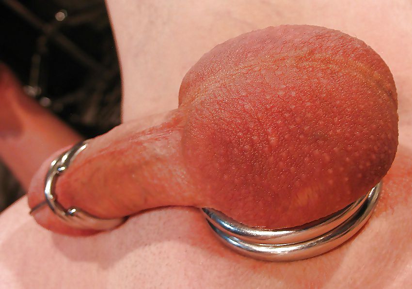 Cock-Ring-1444