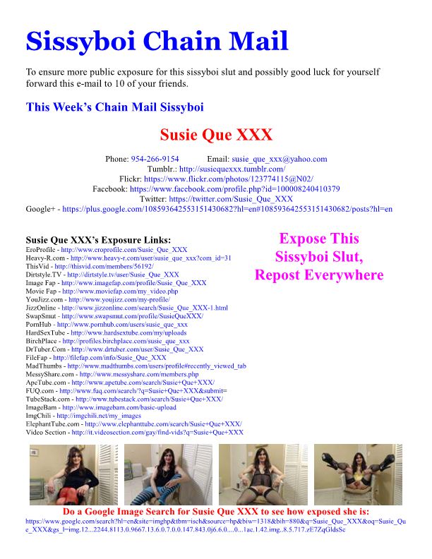 Susie Que Chain Mail 2