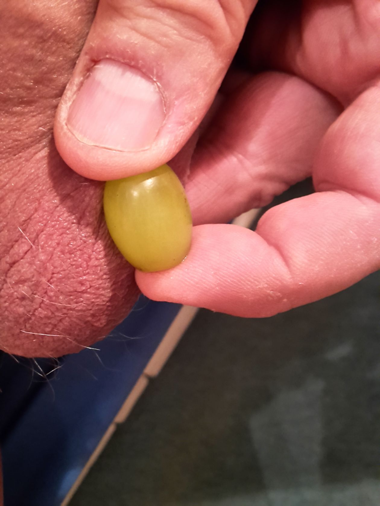 Grape sized testicles