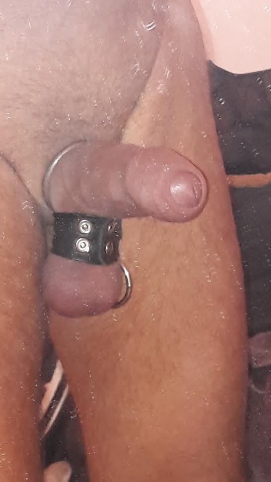 cock ring frontal