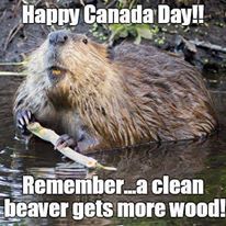 We Canadian's love our Beaver's