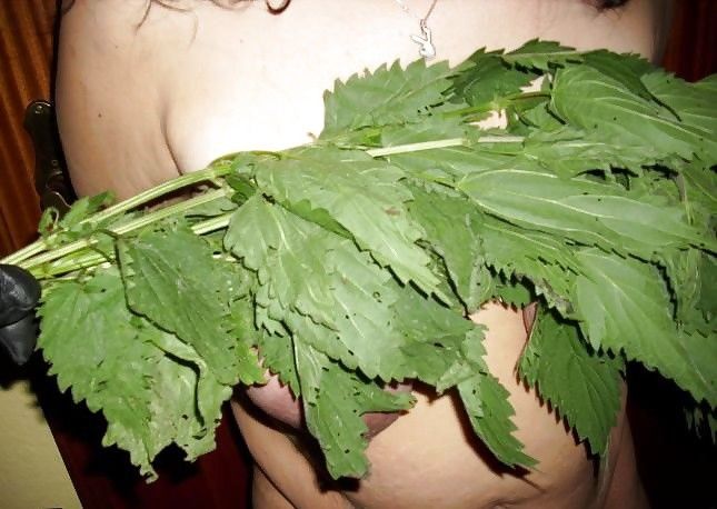 835_1000 nettles