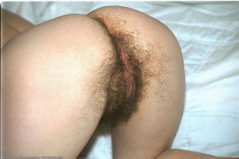 hairy ass3