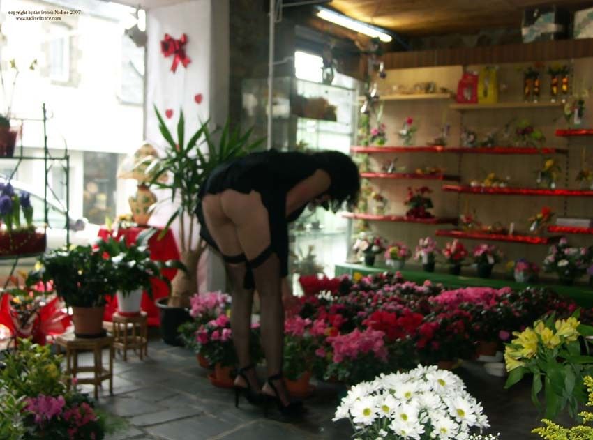 248_-_flower_shop_flash_12