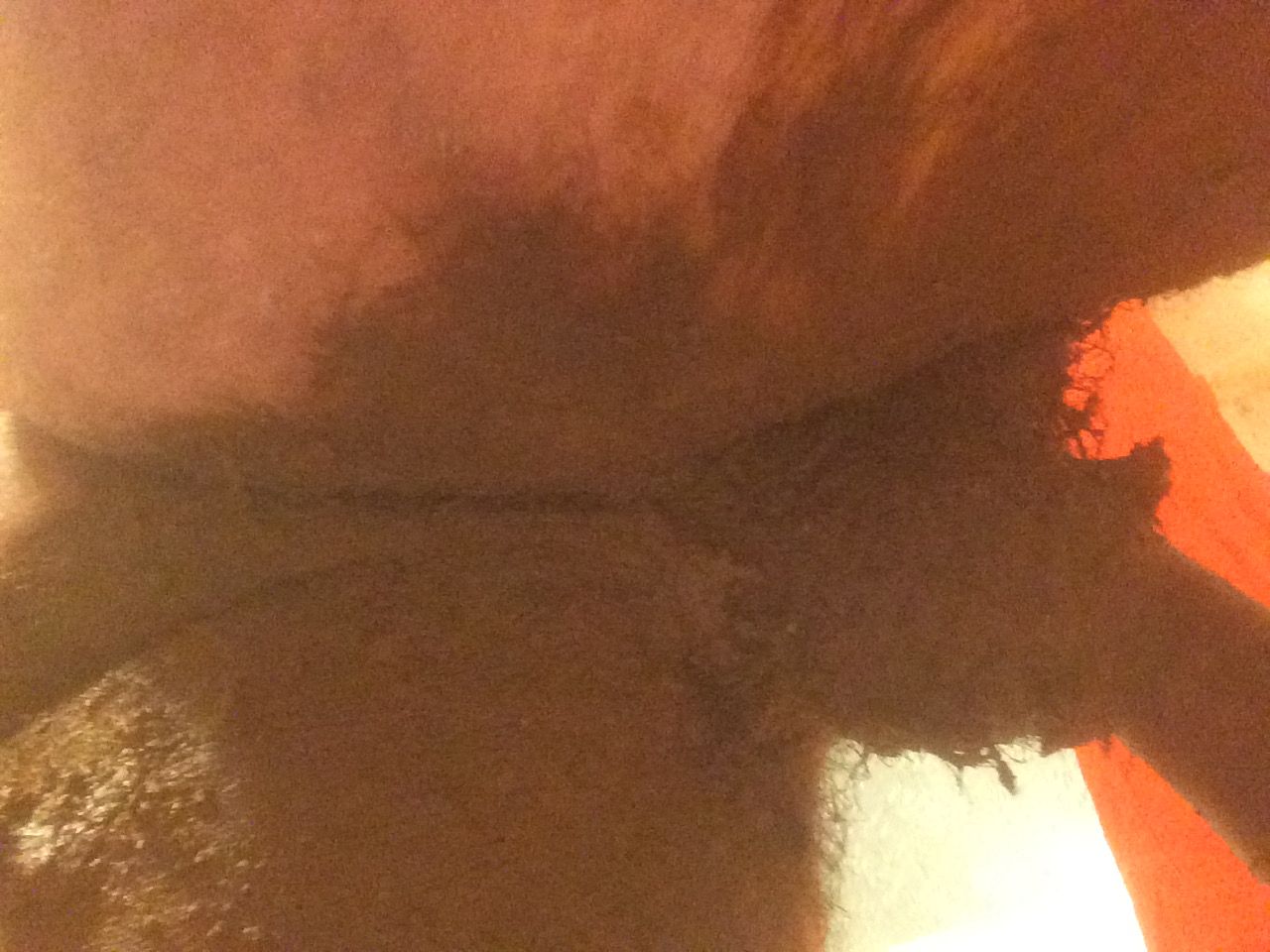 Shit smeared cock and ass