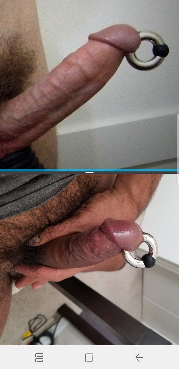 Cock-388