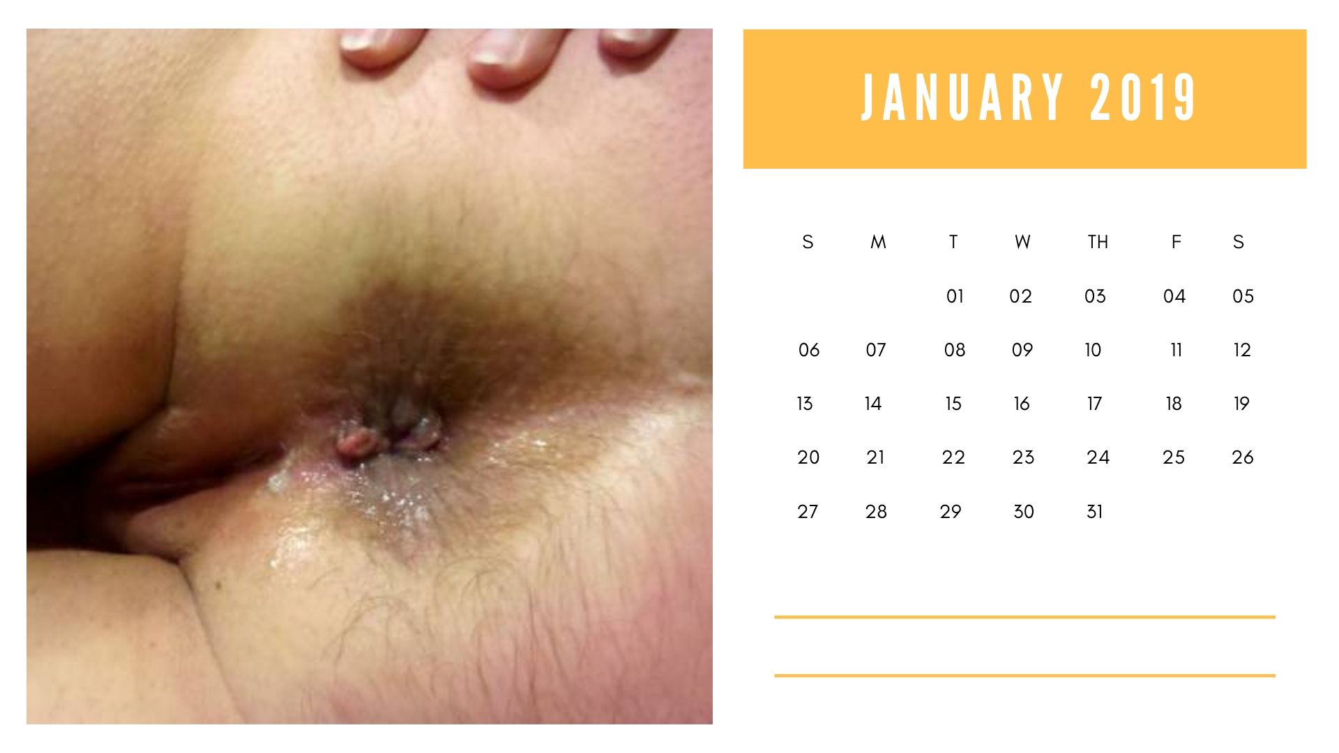 Laurie January calendar