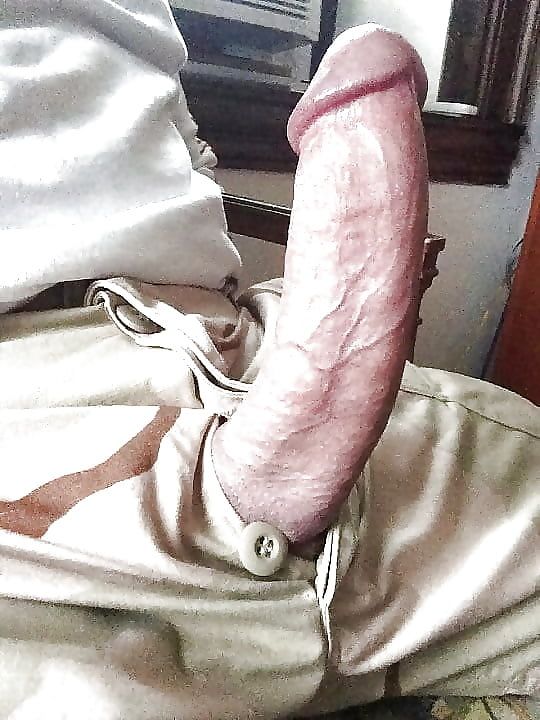 Cock (460)