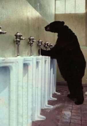 bearurinal