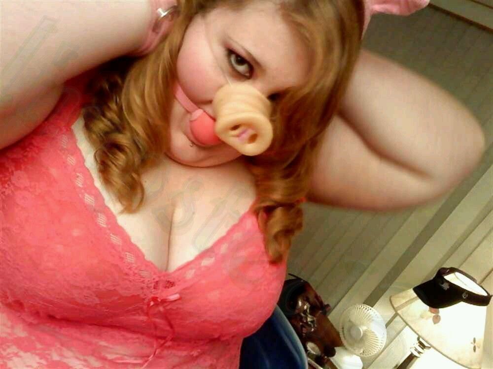 Pig