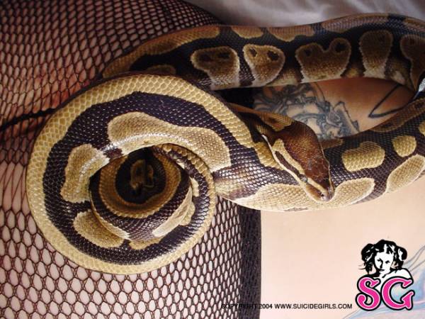 Marie_-_Snake_-_030