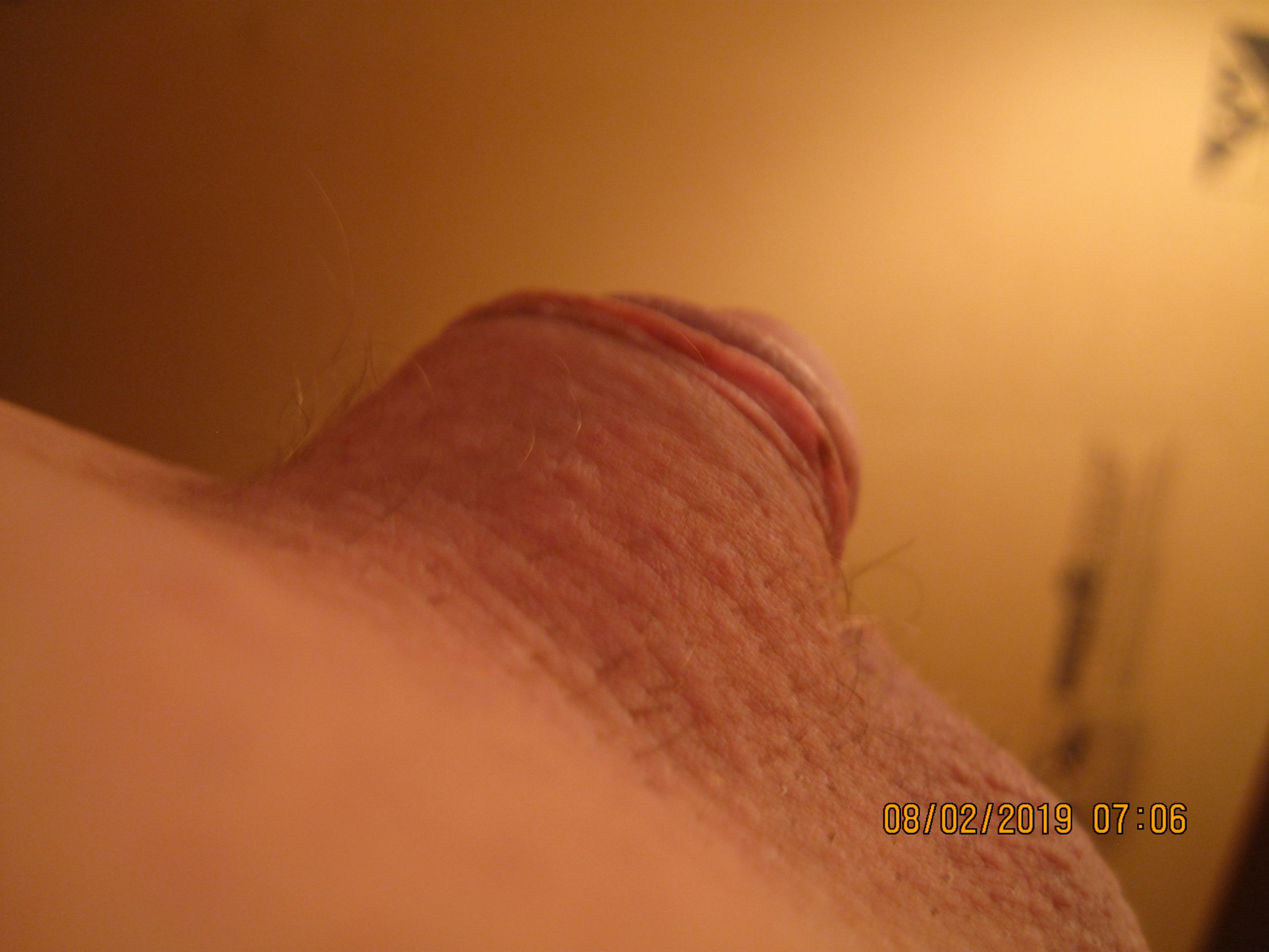 08-02-2019 Tiny Dick In Out 019