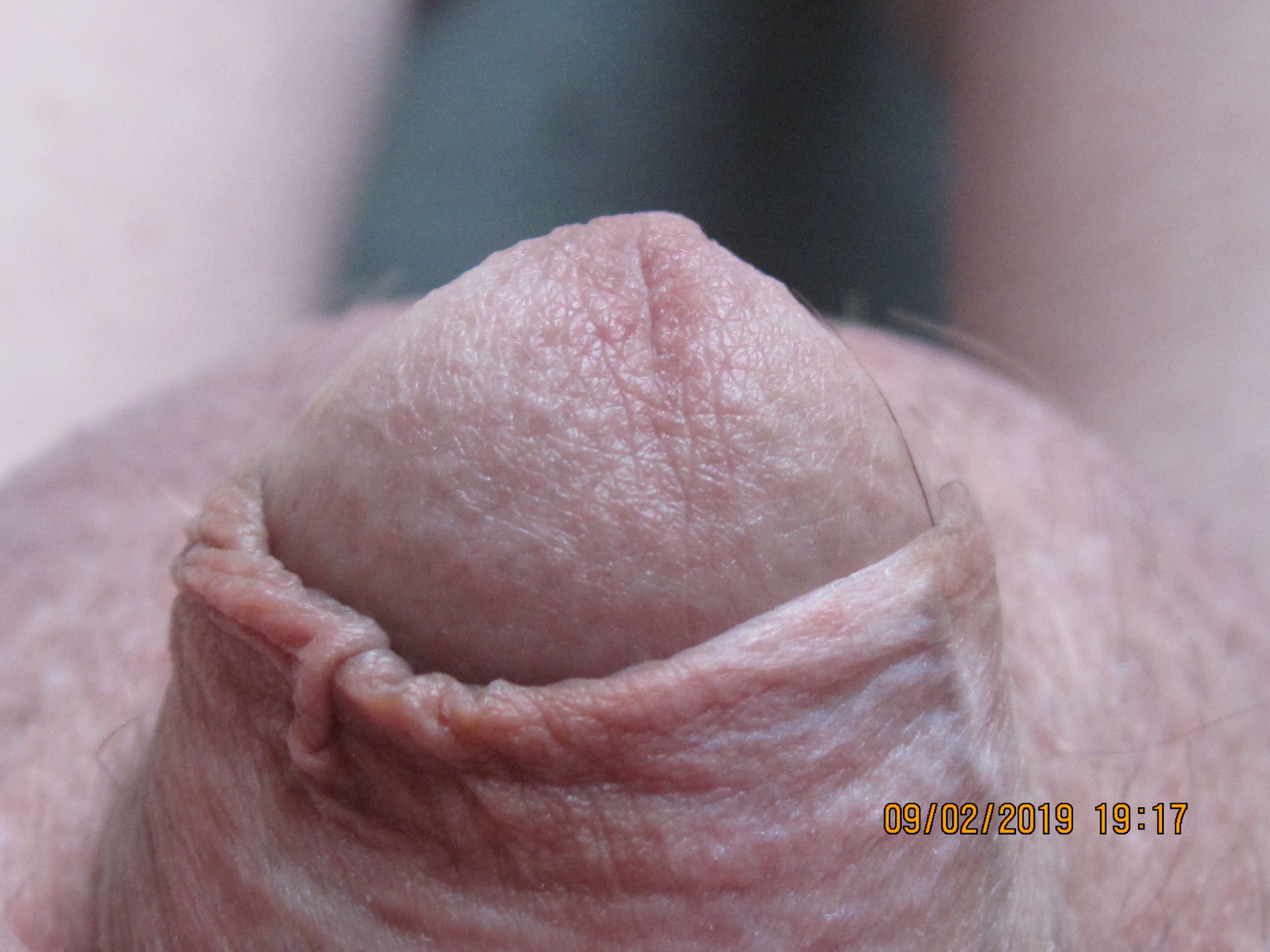 09-02-2019 Tiny Dick Huge Balls 031