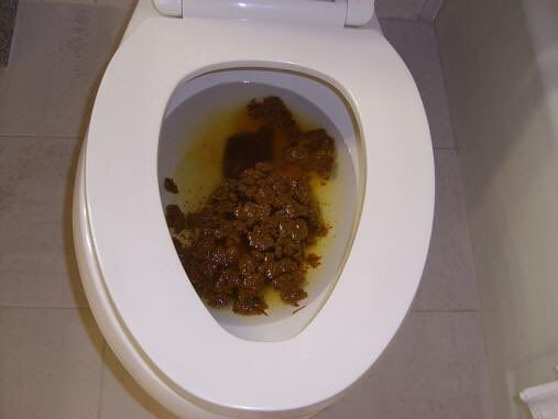 Messy poop in toilet