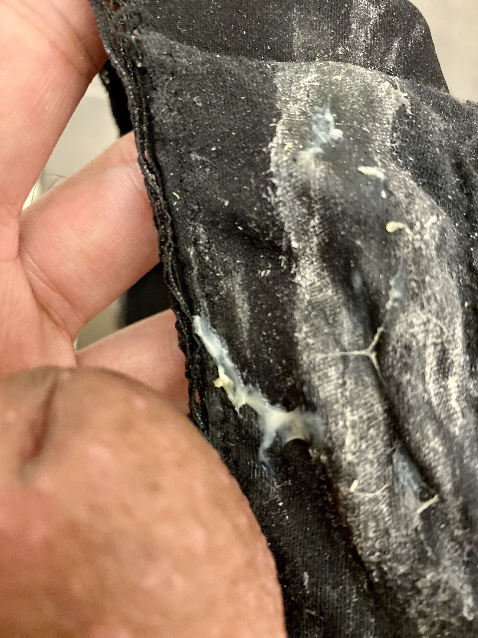 Dirty panties of my wife