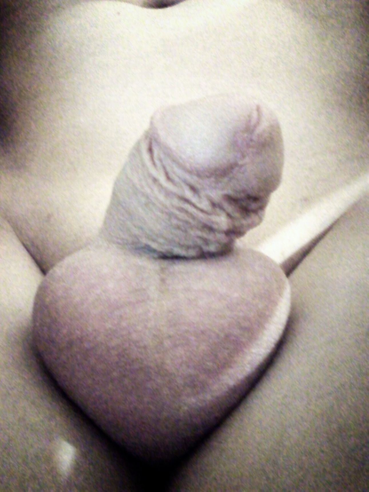 horny trap's cock (8)