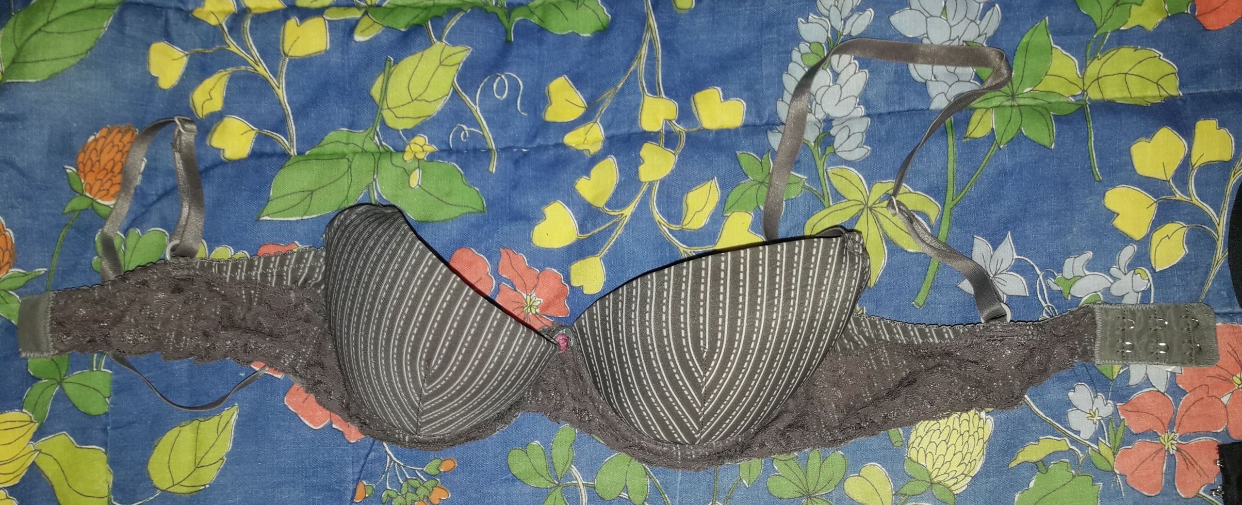 My stolen used bra (15)