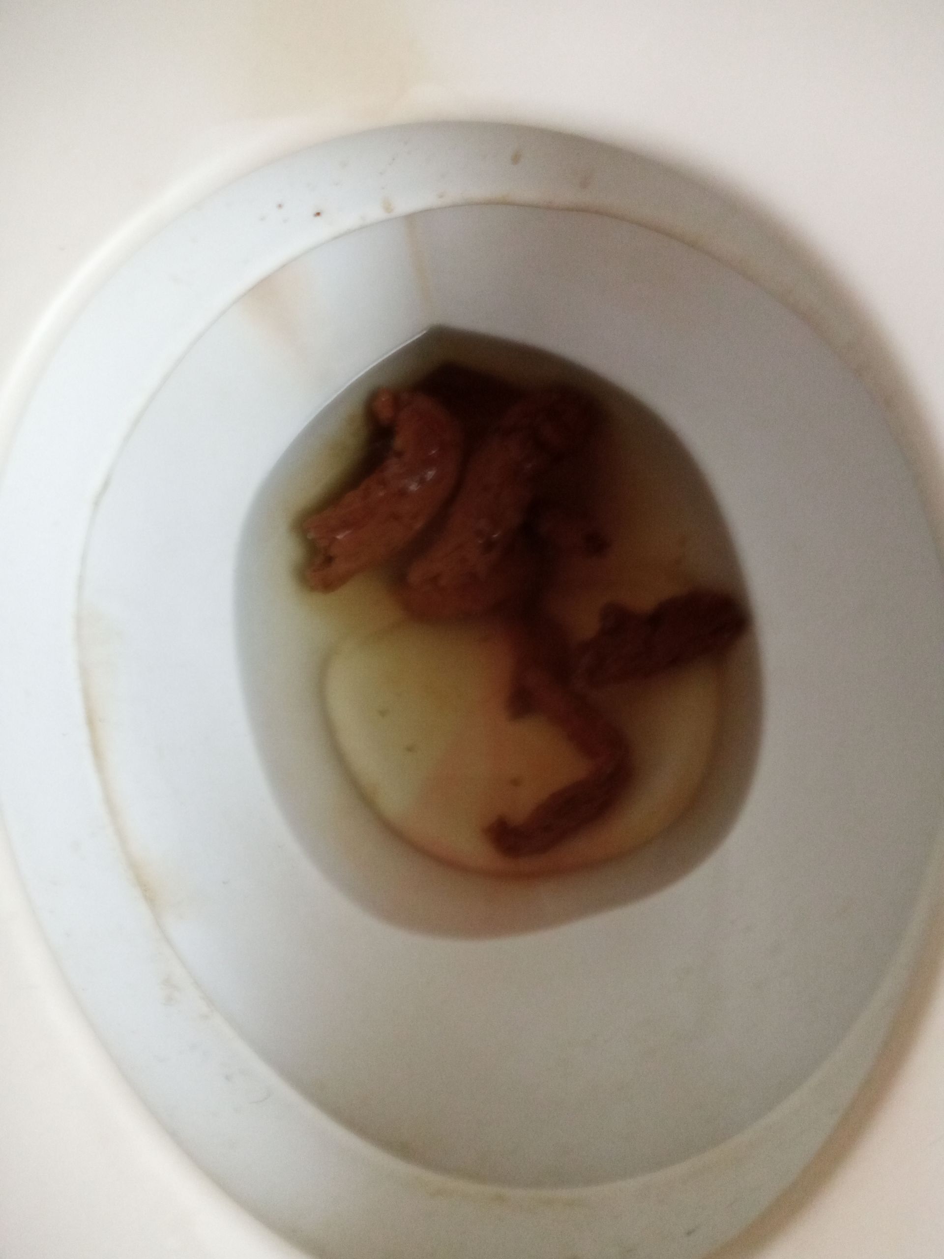 Toilet poop