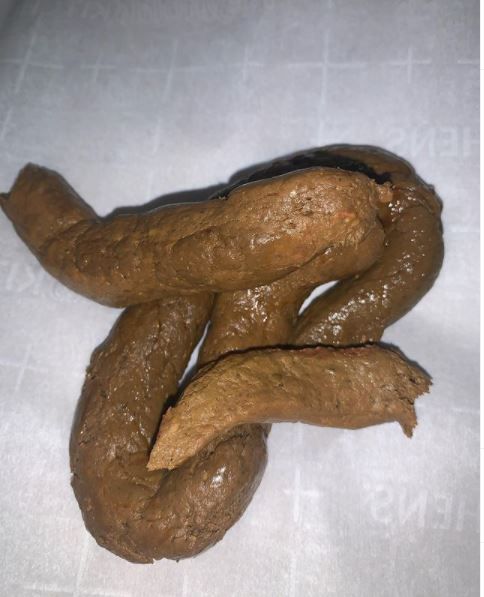 i love eating scat from women