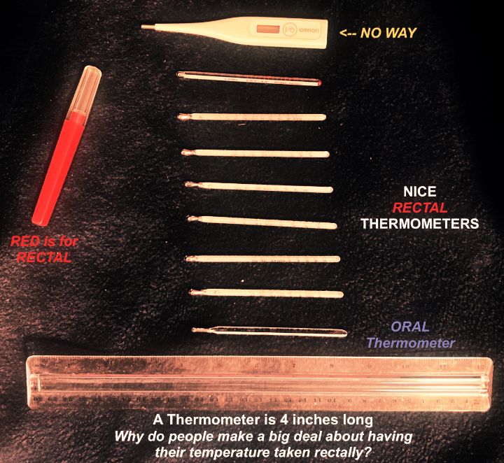 Nice Rectal Thermometers - small file
