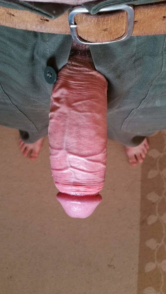 veiny suckable cock