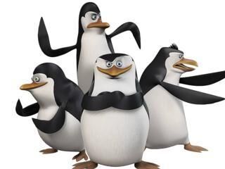 Die_pinguine_aus_madagascar
