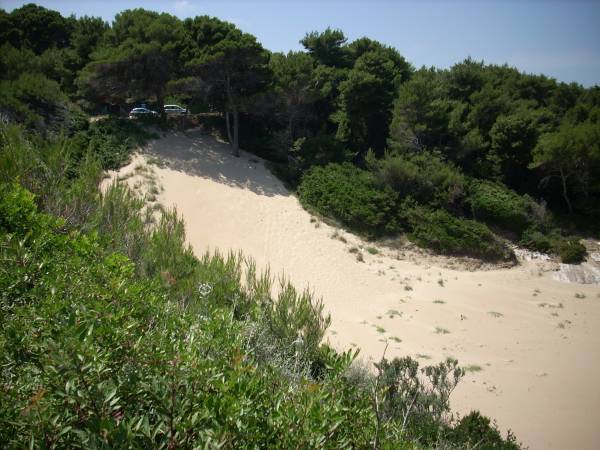 The access to the best and wild sand beach!!!