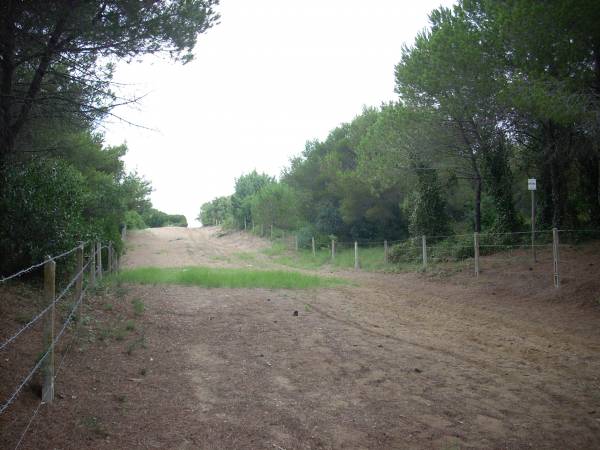 The path to enter the beach